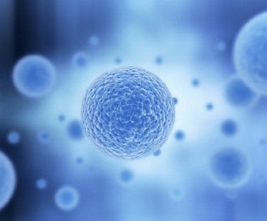 Recent ECJ Decision to boost stem cell research in Europe